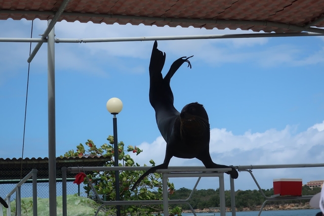 hog-bahía-de-naranjocard-img