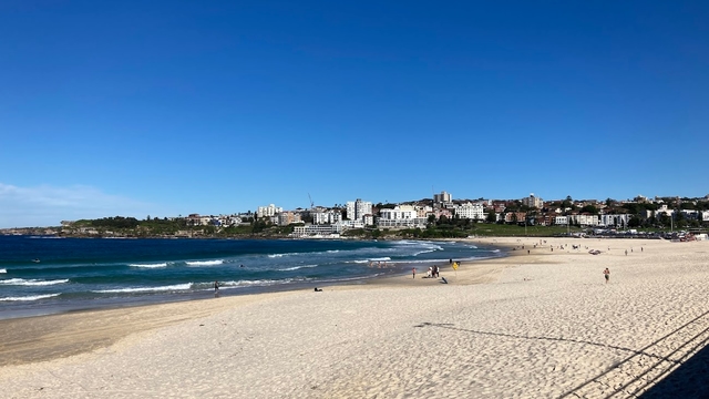 syd-playa-bondicard-img