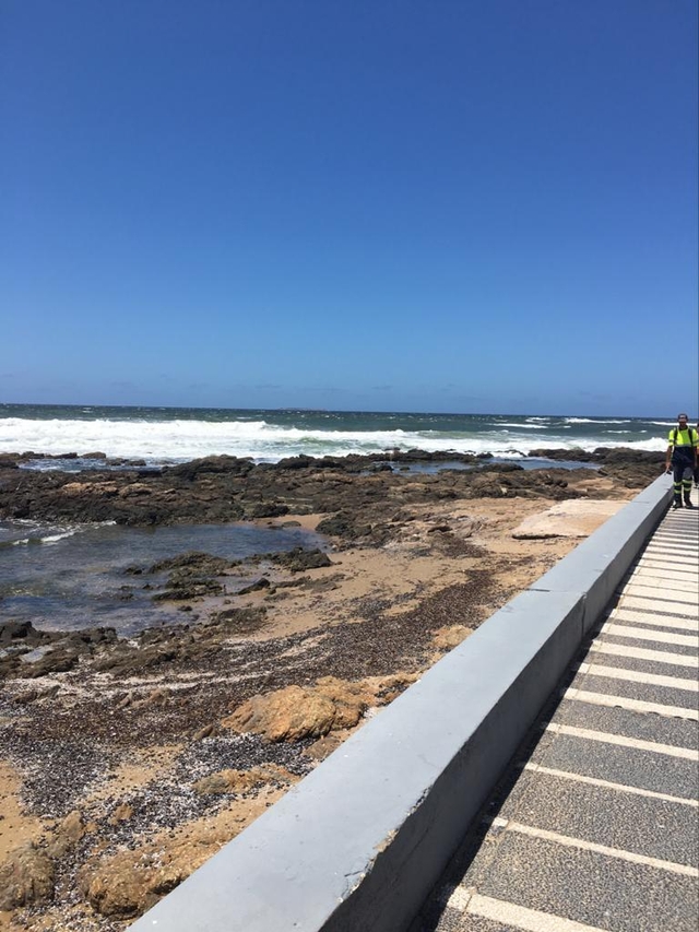 pdp-playa-bravacard-img