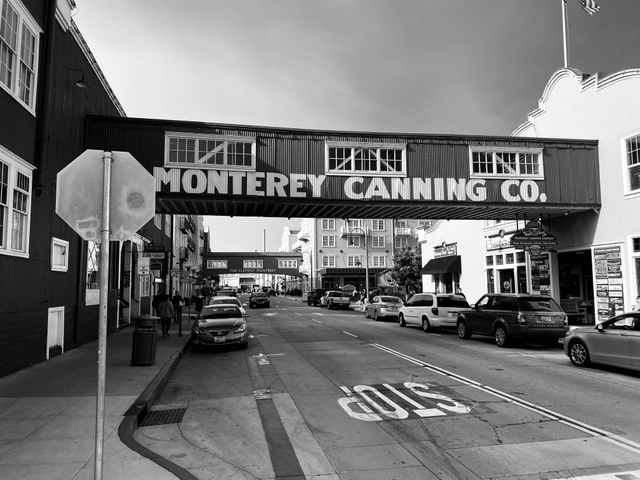 mry-cannery-rowcard-img