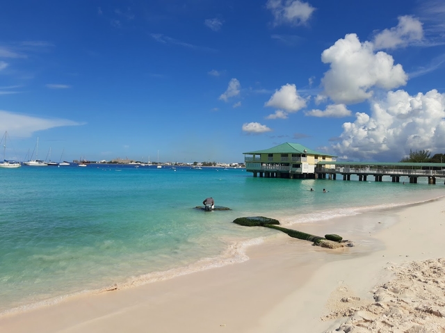 bgi-bahía-carlislecard-img