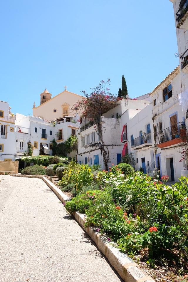 ibz-dalt-vilacard-img