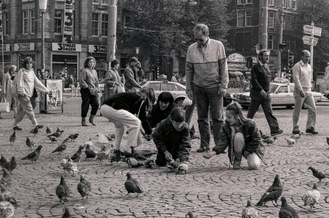 ams-plaza-damcard-img