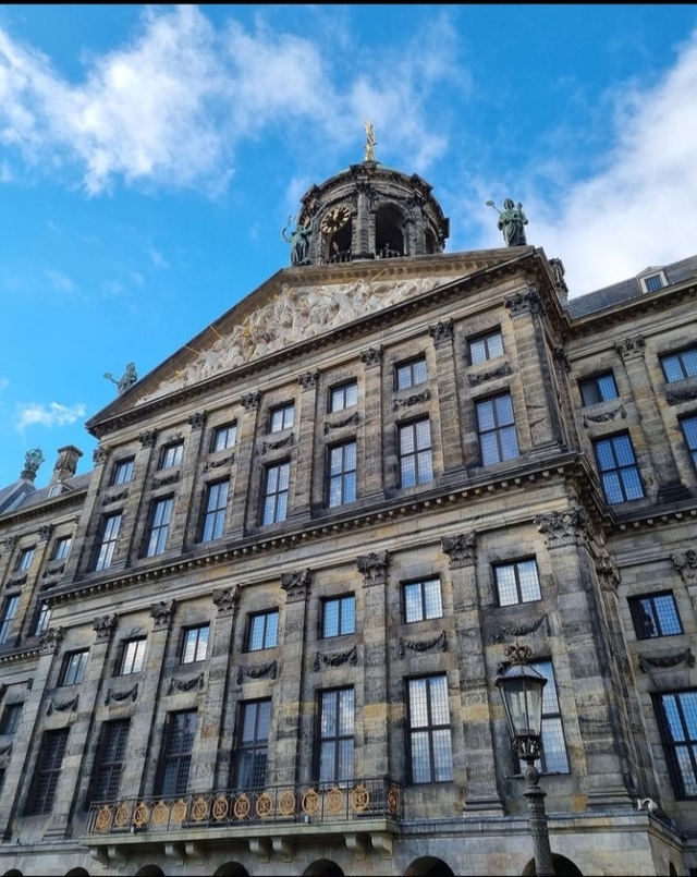 ams-plaza-damcard-img
