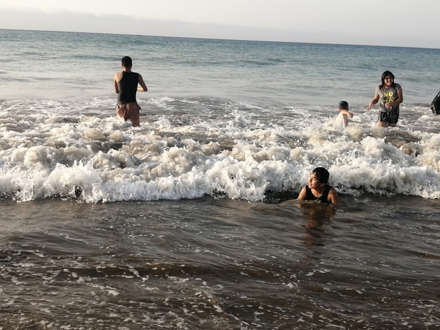 mec-playa-murciélagocard-img