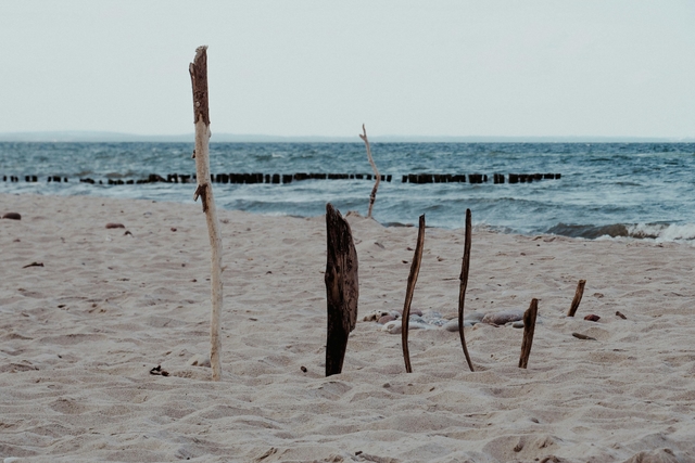 lca-playa-finikoudescard-img