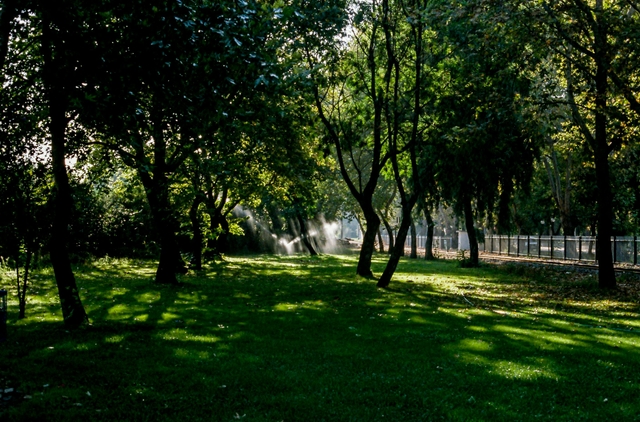 pae-parque-forestcard-img