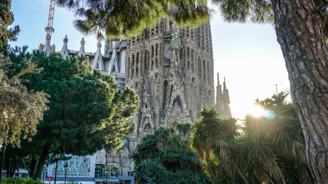 orl-icon-parkcard-img