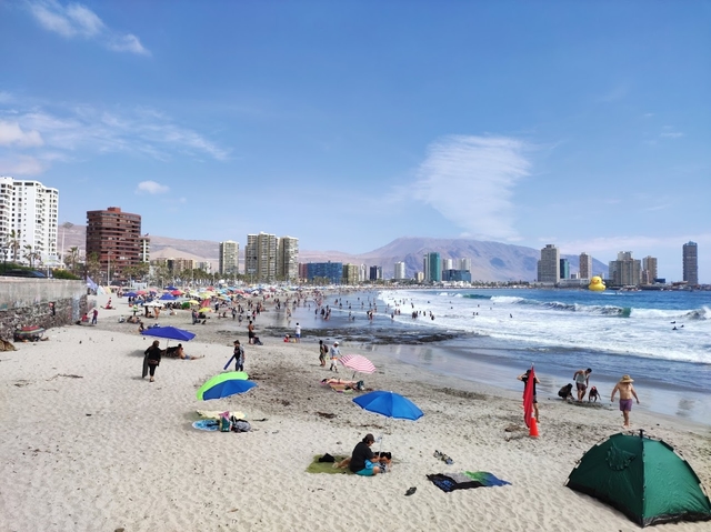 iqq-playa-cavanchacard-img