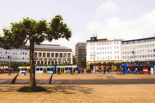 dyu-centro-ismailicard-img