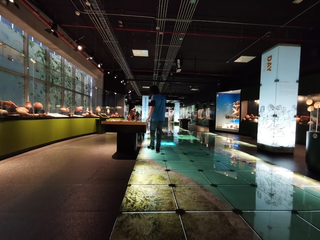 sjo-museo-del-jadecard-img