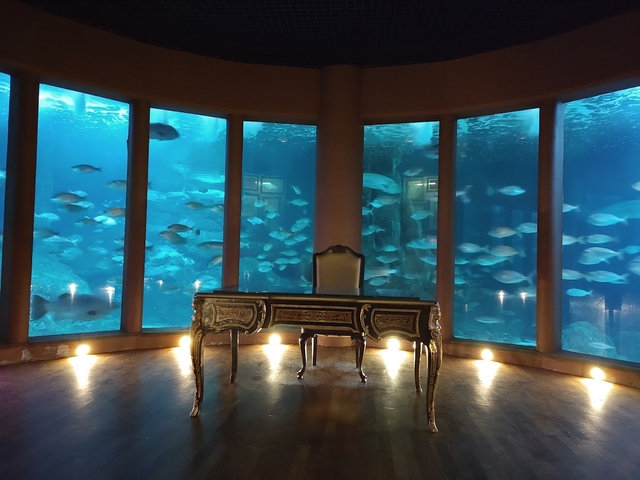 lcg-aquarium-finisterraecard-img