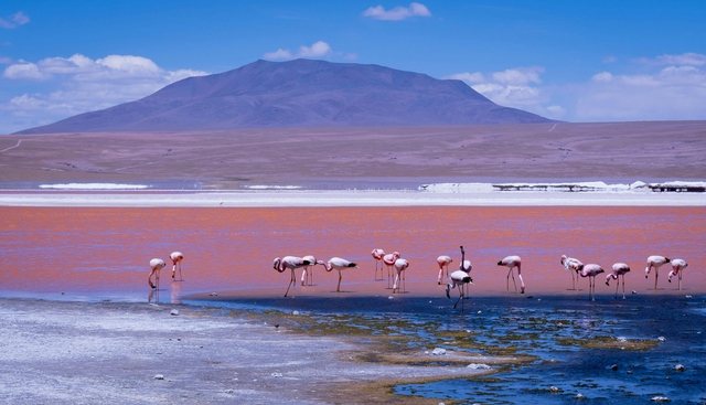 uyu-laguna-coloradacard-img