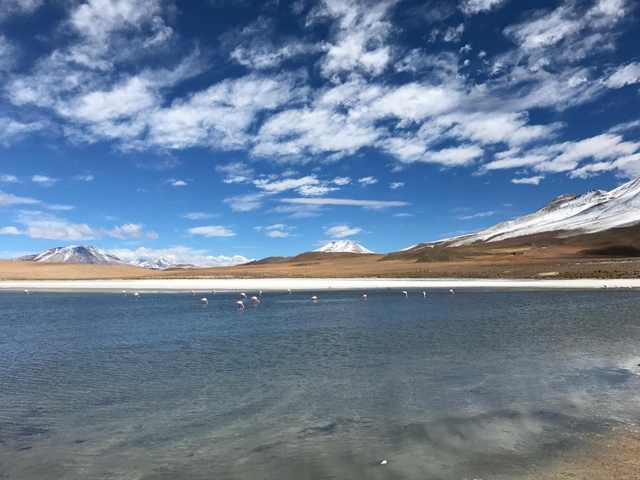 fte-laguna-nimezcard-img
