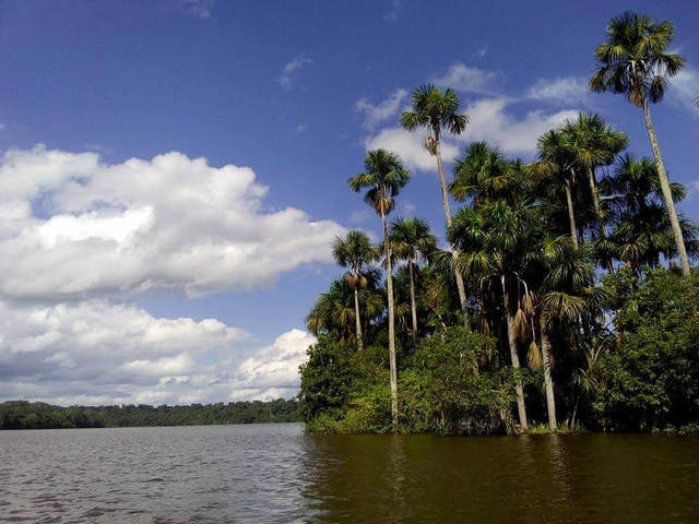 pem-lago-sandovalcard-img