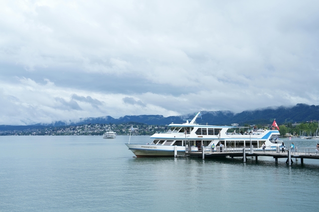 zrh-lago-de-zúrichcard-img