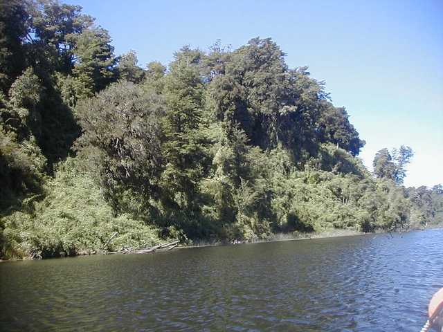 pmc-lago-llanquihuecard-img