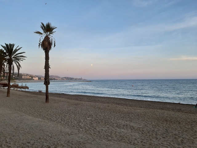 agp-playa-de-la-malaguetacard-img