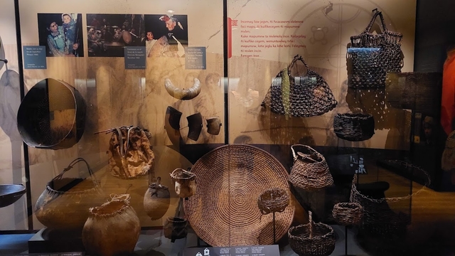 zco-museo-mapuchecard-img