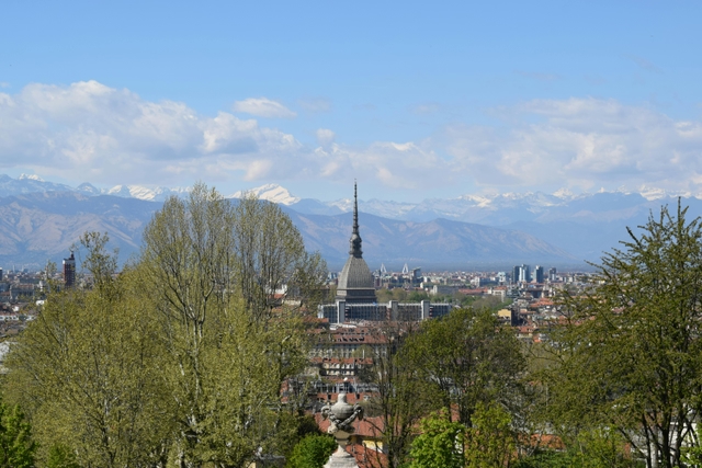 trn-mole-antonellianacard-img