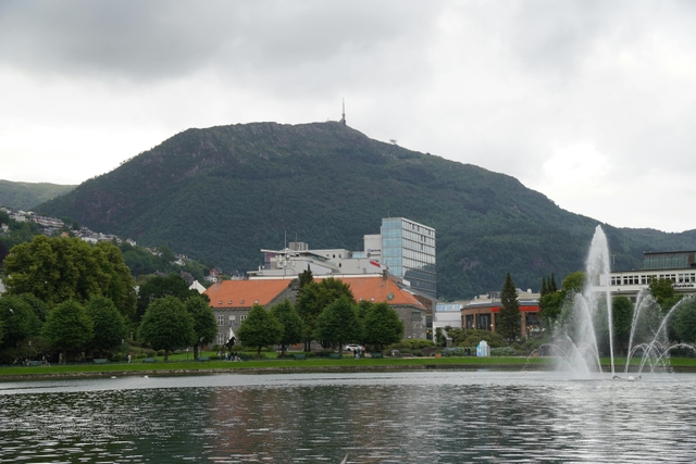 bgo-monte-fløyencard-img