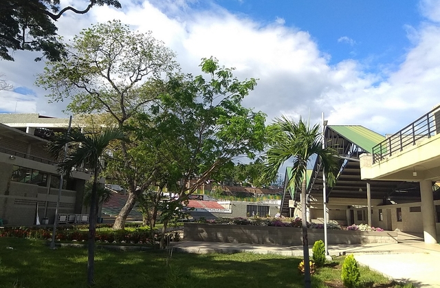 nva-parque-de-la-músicacard-img