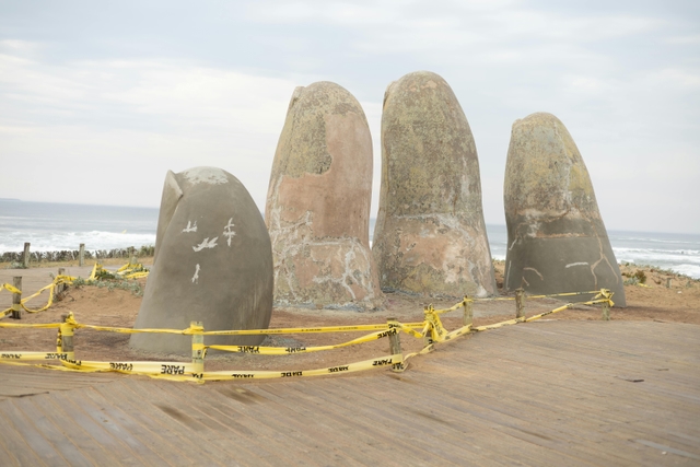 pdp-playa-bravacard-img
