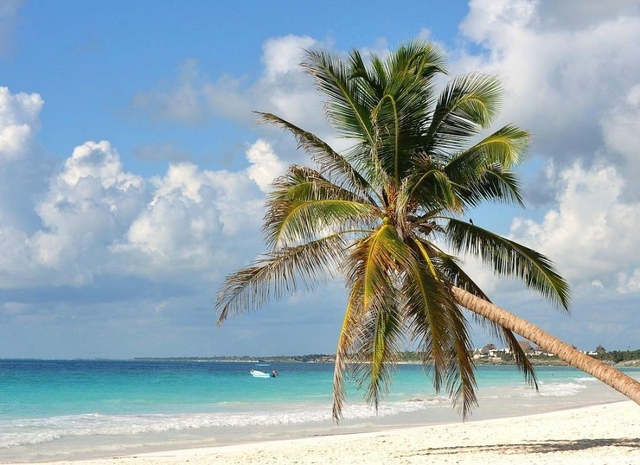 tqo-playa-paraísocard-img