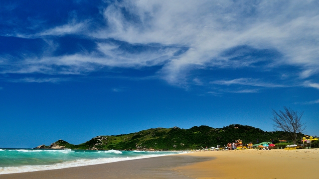 fln-praia-molecard-img