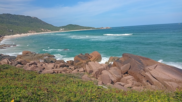 fln-praia-molecard-img
