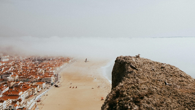for-playa-do-futurocard-img
