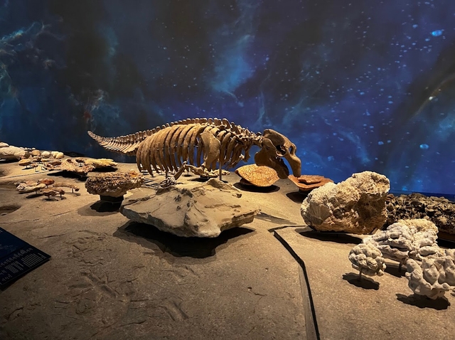 doh-museo-nacional-de-qatarcard-img