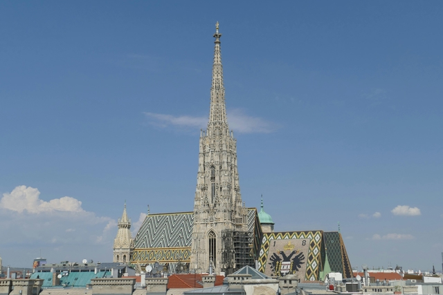 vie-catedral-de-san-estebancard-img