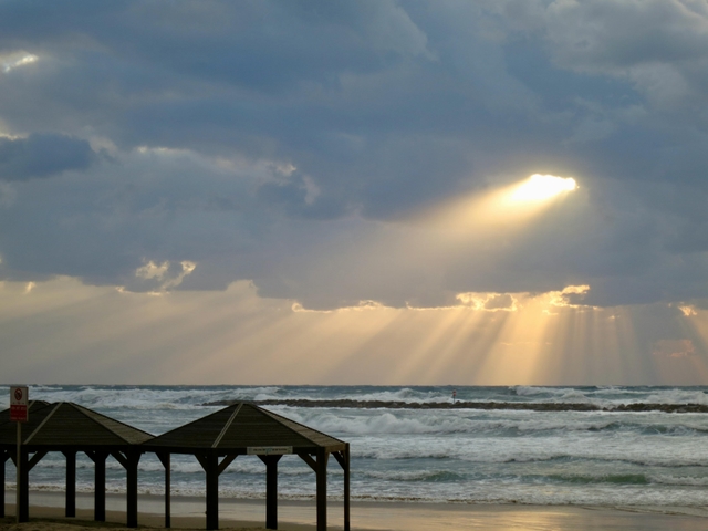 tlv-playa-de-tel-avivcard-img