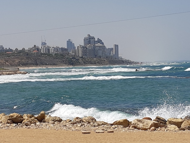 tlv-playa-de-tel-avivcard-img