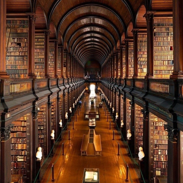 dub-trinity-collegecard-img