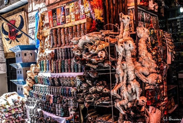 lpb-mercado-de-las-brujascard-img
