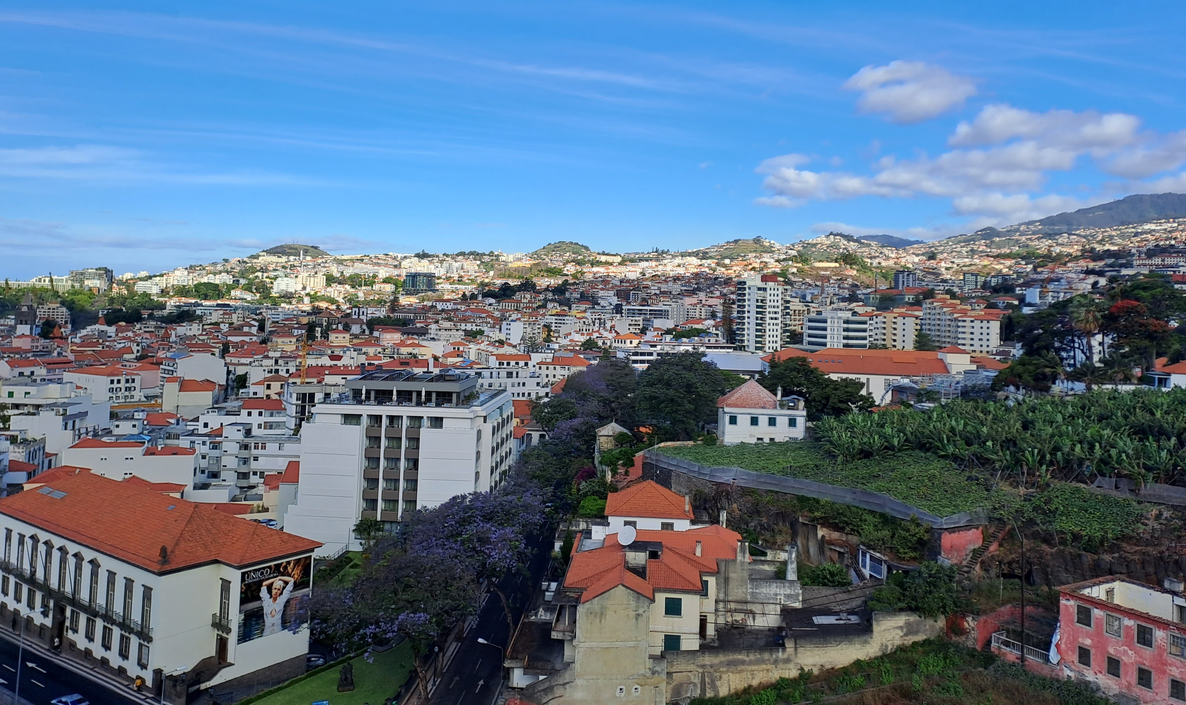 Calgary-Madeira-main-image