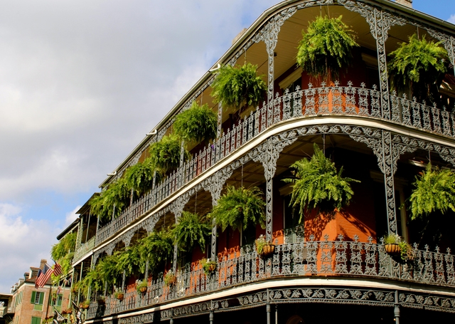 bne-jardines-botánicos-de-la-ciudad-de-brisbanecard-img