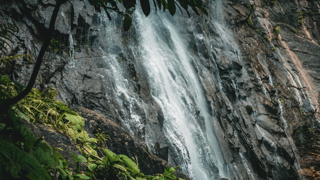 slp-cascada-de-tamulcard-img