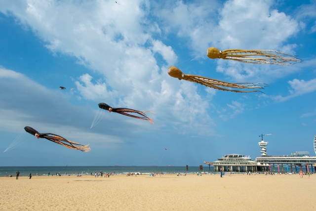 pnt-costanera-de-puerto-natalescard-img