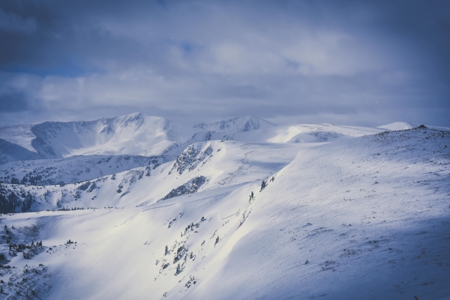 anu-shirley-heightscard-img