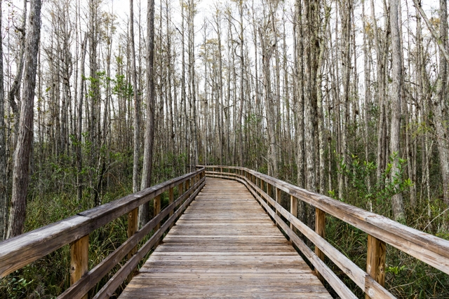 fmy-reserva-six-mile-cypress-sloughcard-img