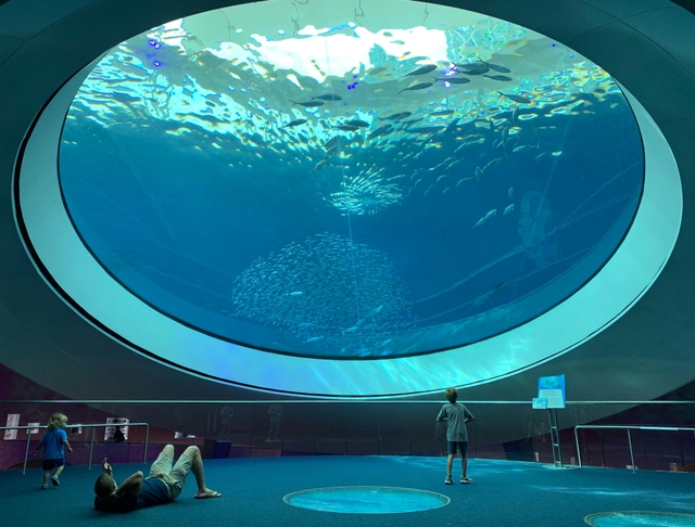 tpa-el-acuario-de-floridacard-img