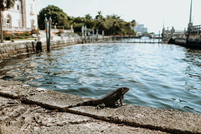 mia-museo-y-jardines-vizcayacard-img