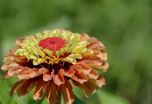 tlv-centro-yitzhak-rabincard-img